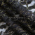 Кружевное полотно XD LACE 1-4, 80 гр/м2, шир.150см, цвет чёрный - купить в Нижнем Тагиле. Цена 245.94 руб.