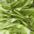 Трикотажное полотно голограмма, шир.140 см, #602 -люм.салат - купить в Нижнем Тагиле. Цена 385.88 руб.
