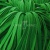 Шнур 15мм плоский (100+/-1м) №16 зеленый - купить в Нижнем Тагиле. Цена: 10.32 руб.