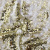 Трикотажное полотно, Сетка с пайетками, шир.130 см, #315, цв.-белый/золото - купить в Нижнем Тагиле. Цена 693.39 руб.