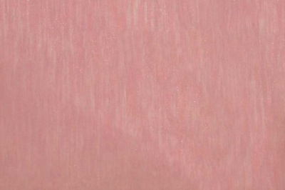 Органза однотонная "Амелия" С19 (Розовый) 280 см - купить в Нижнем Тагиле. Цена 303.09 руб.