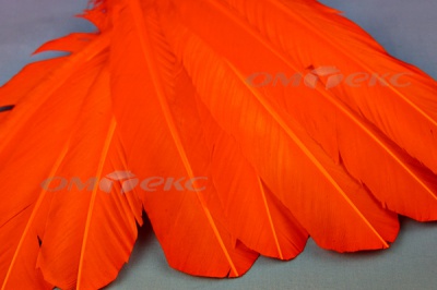Декоративный Пучок из перьев, перо 24см/оранжевый - купить в Нижнем Тагиле. Цена: 12.19 руб.