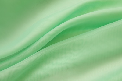 Портьерный капрон 13-6009, 47 гр/м2, шир.300см, цвет св.зелёный - купить в Нижнем Тагиле. Цена 143.68 руб.