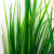 Трава искусственная -2, шт (осока 41см/8 см)				 - купить в Нижнем Тагиле. Цена: 104.57 руб.