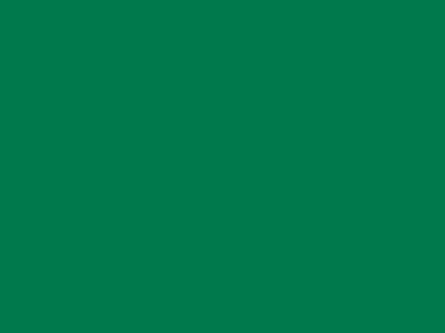 85 см № 258 яр. зеленый спираль (G) сорт-2 - купить в Нижнем Тагиле. Цена: 16.97 руб.
