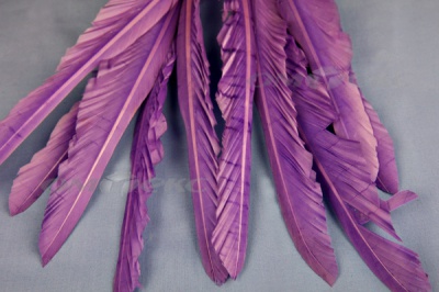 Декоративный Пучок из перьев, перо 25см/фиолетовый - купить в Нижнем Тагиле. Цена: 12.19 руб.