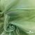 Ткань органза, 100% полиэстр, 28г/м2, шир. 150 см, цв. #27 зеленый - купить в Нижнем Тагиле. Цена 86.24 руб.