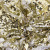 Трикотажное полотно, Сетка с пайетками, шир.130 см, #315, цв.-белый/золото - купить в Нижнем Тагиле. Цена 693.39 руб.