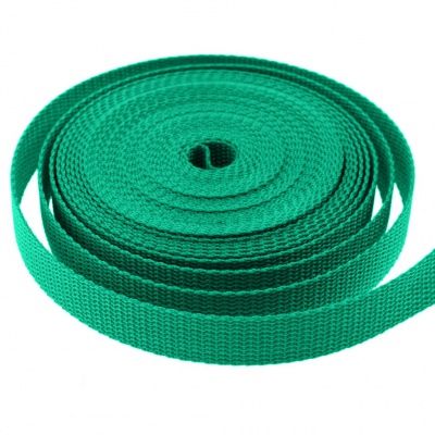Стропа текстильная, шир. 25 мм (в нам. 50+/-1 ярд), цвет яр.зелёный - купить в Нижнем Тагиле. Цена: 397.52 руб.