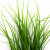 Трава искусственная -3, шт (осока 50 см/8 см  5 листов)				 - купить в Нижнем Тагиле. Цена: 124.17 руб.