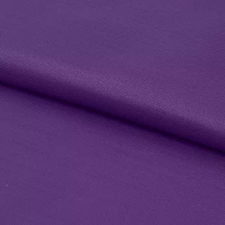 Фиолетовый (1)